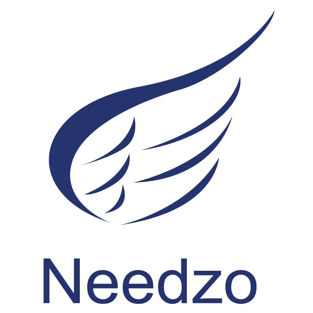 Needzo Religious Magnetic Decal for Cars, Refrigerators, and Whiteboards, Magnet for Catholic Gift Basket, 4.5 Inches (Our Lady